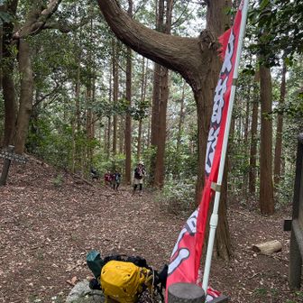 本坂峠
風が気持ちいい
