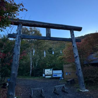 よろしくお願いします🙏
