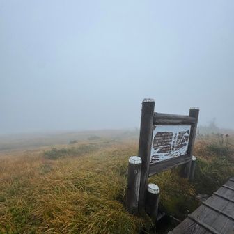 きっと綺麗なはず