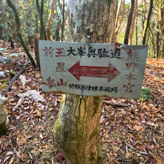 熊野本宮まで行きたいですね。バスで玉置神社まで帰れるのなら…。