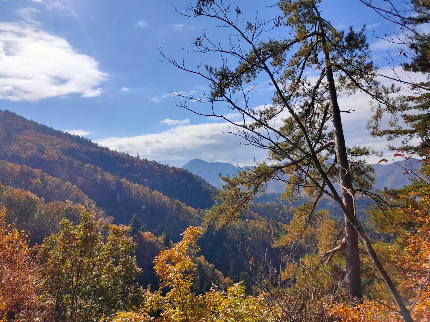 水晶山 周回コースの写真