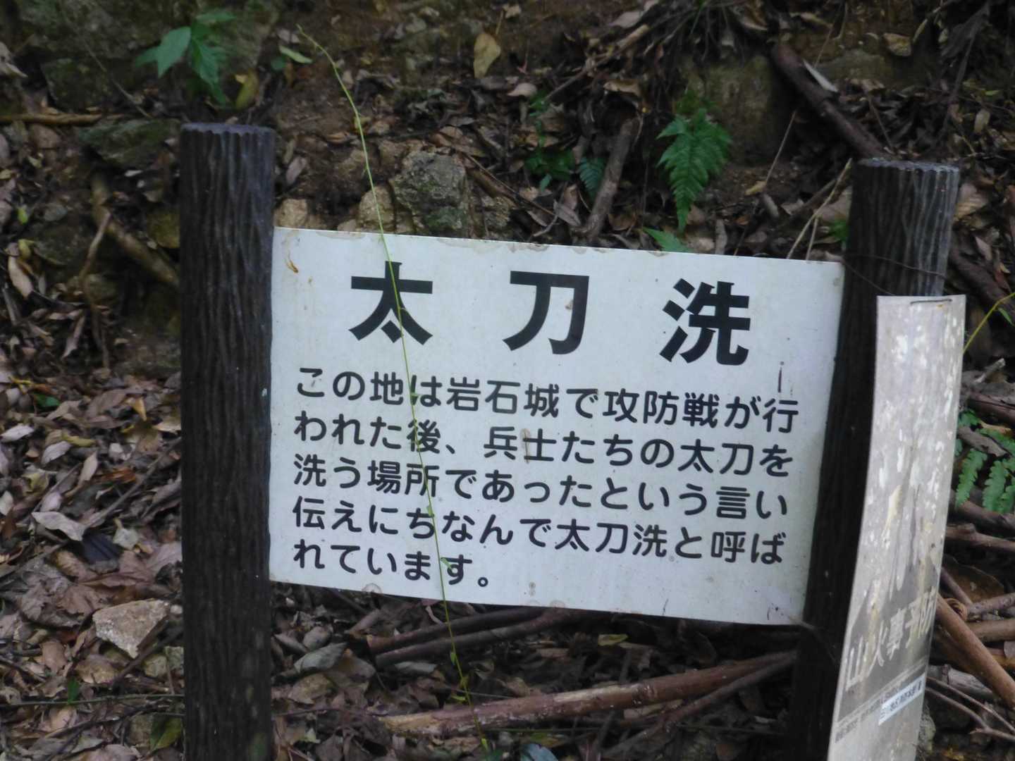 岩石山 周回コースの写真