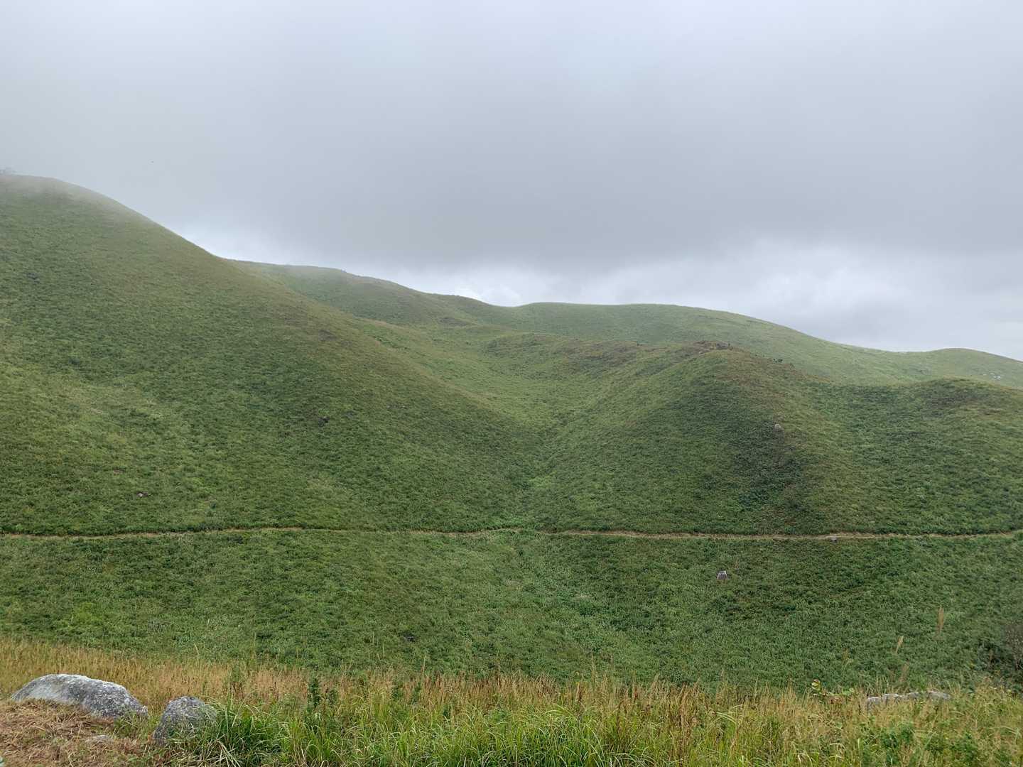 あのスジは登山道かな？