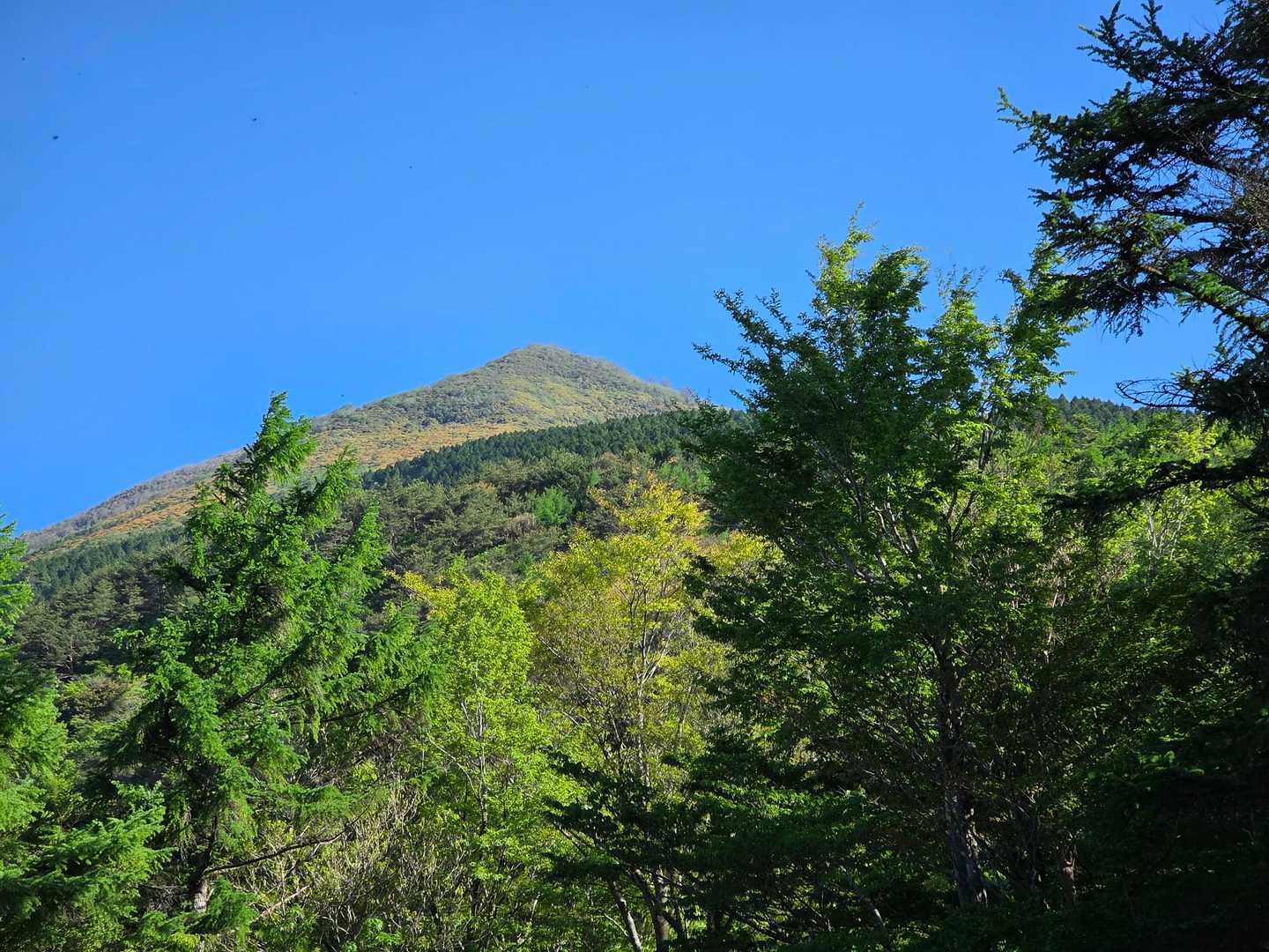 目指す市房山山頂
