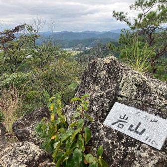 三つ目のピークは　✨🎉YAMAP100座目🎊✨　岩山⛰️さんちょ

今日はスタートが遅かったから誰とも会わないだろうと思っていたけど、一個連隊サマ以外で3名の方とスライドしました