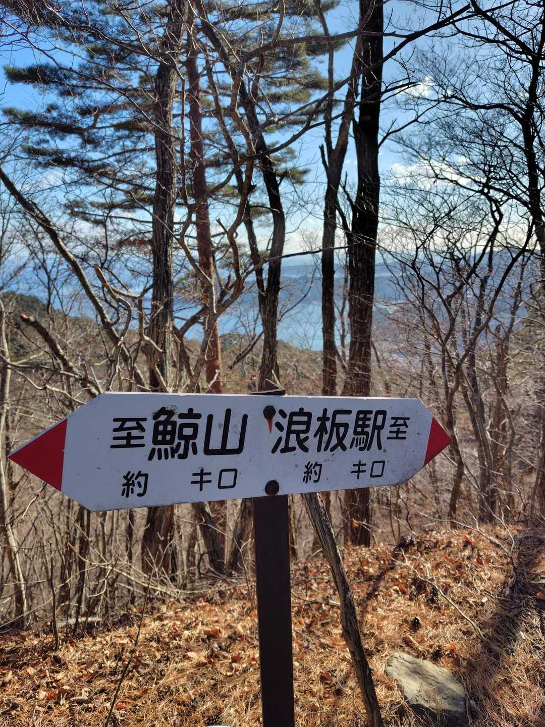 すぐにトレイルに入る看板