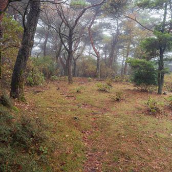 危うく通り過ぎるところだったえびの岳山頂。