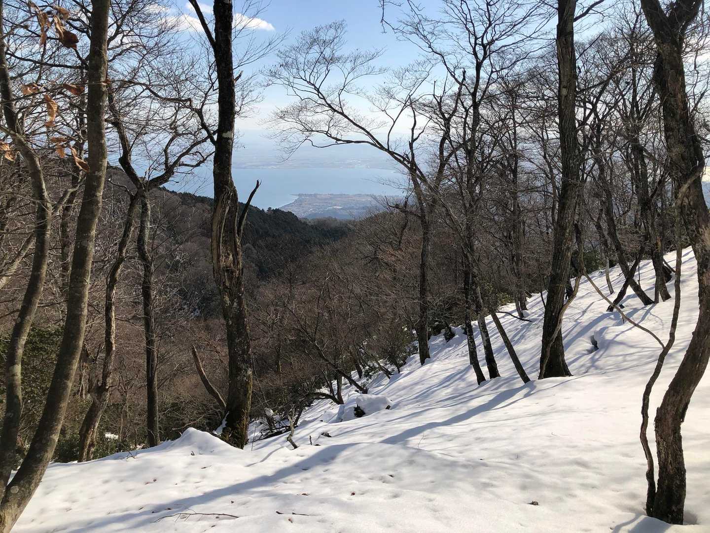 霊仙山権現山登山口-権現山-ホッケ山 往復コースの写真