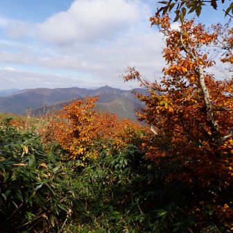 分岐が、八森山の山頂だったりします
ここで主稜線につながる火打岳を眺めたら、忘れていた山への気持ちがぐっと入る。

あそこまで繋げたいと思っていたんだったと。