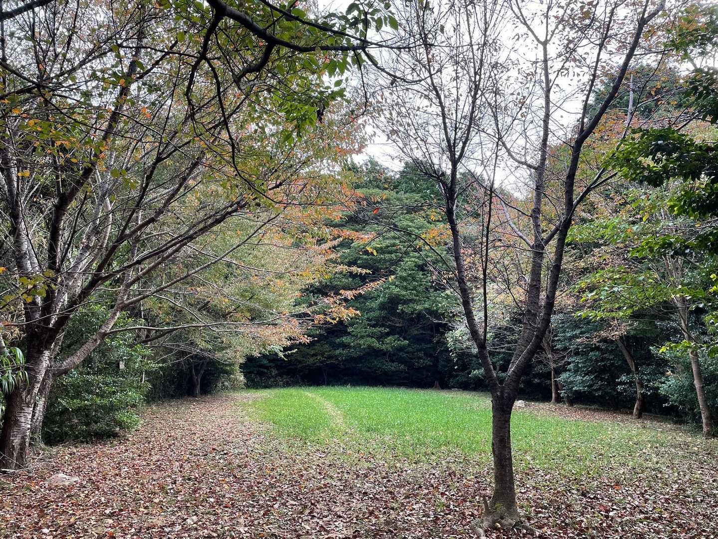 小さな秋を感じます🍂