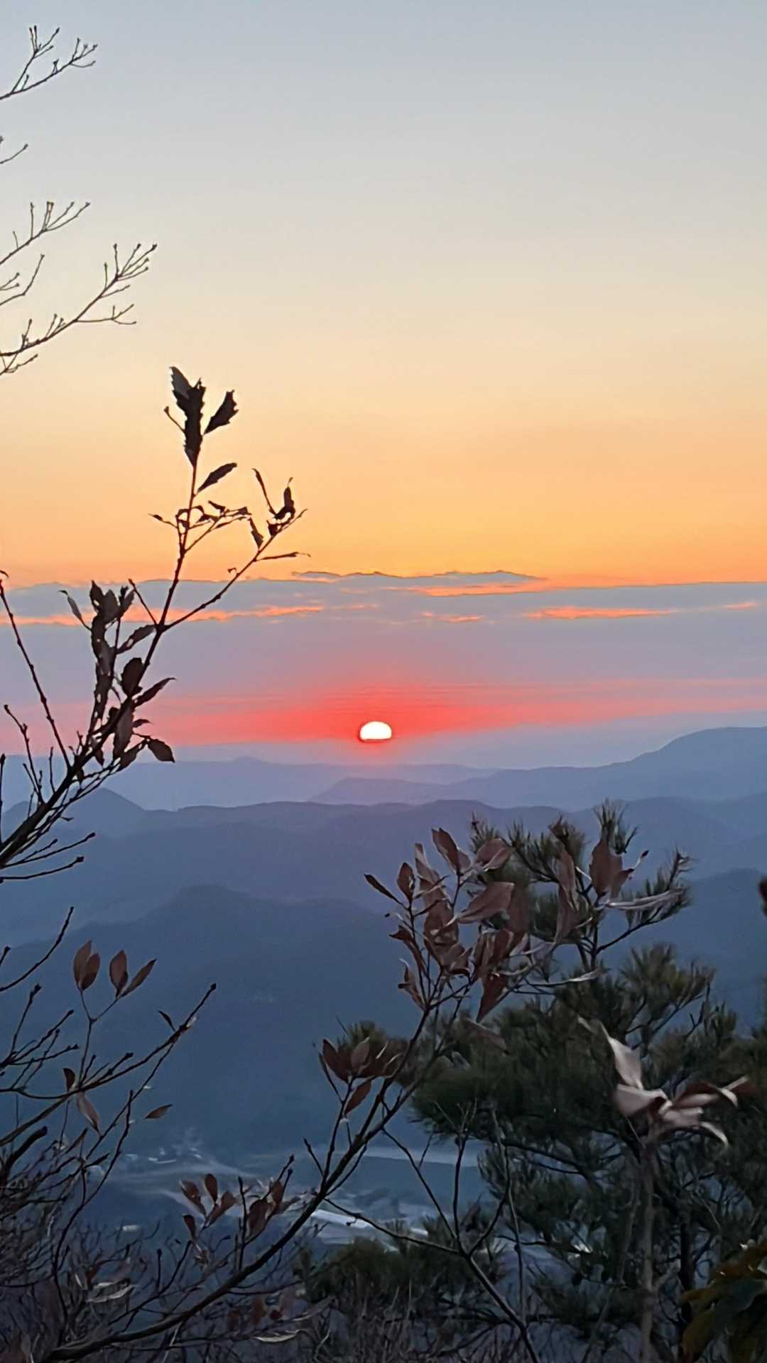 羽束山 往復コースの写真