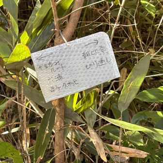 熊野神社を一番上まで登ると、やっと案内板があった。これはわからない