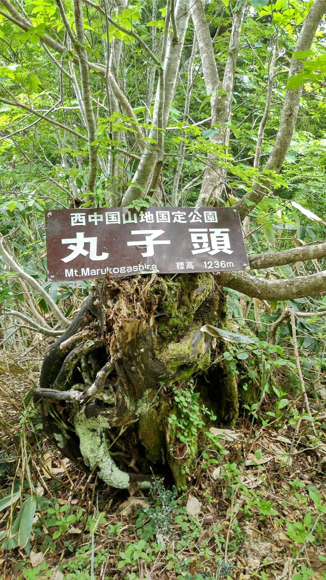 丸子頭⛰️、頂きました。
今日は4座ゲットです😊