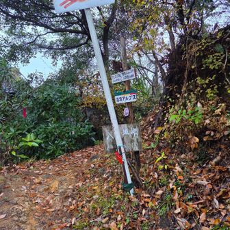 ここからまた登山道スタートです