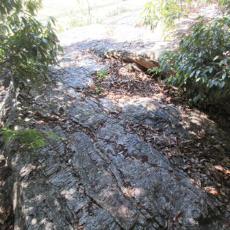 上部に8畳くらいの広さがあるでかい岩🪨
（なので八丈岩と名が付いた、と何かに書いてあった）