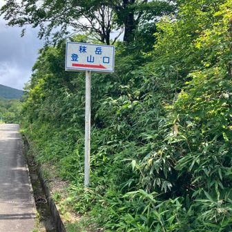 ここから標高差100メートルの３キロをロードします💦
到着したらランチは終わったました😢