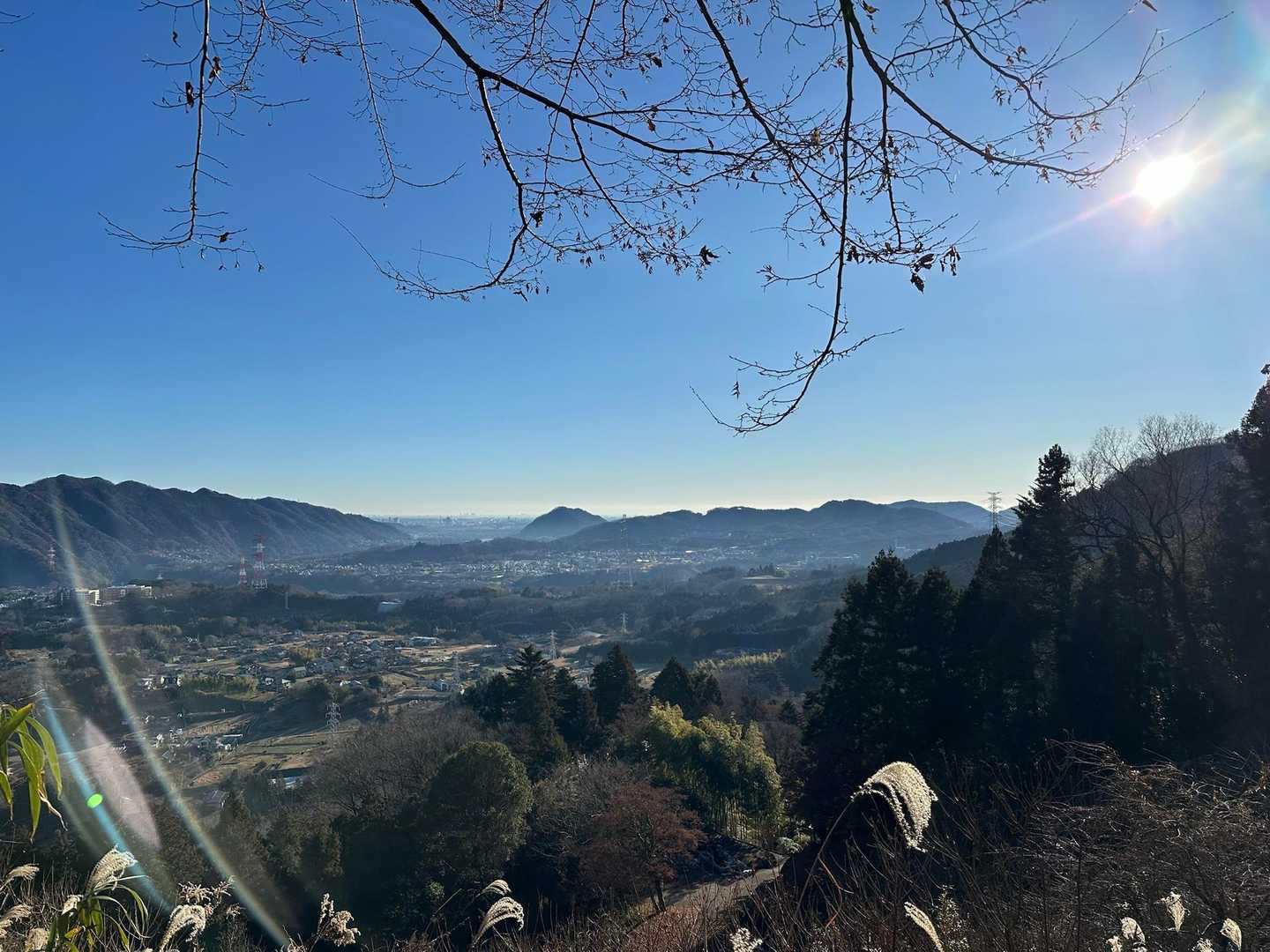 桜道という展望エリア、いい感じ