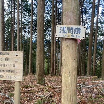 やマップのピークはこちらのようで。