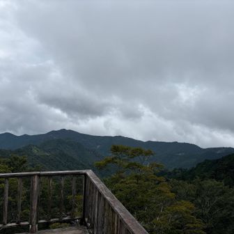 海は見えんかった
