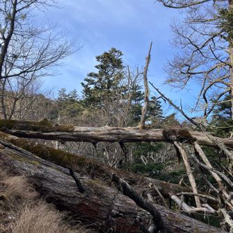 途中で見上げた空がなんだか広い🟦
2合目手前とはいえ、やっぱり富士山に居るんだなーなんて思いながら歩きました😊