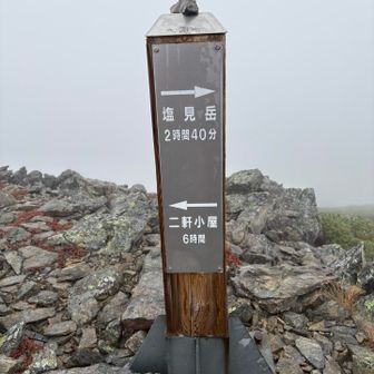 南アルプスの時間単位が大きくて希望が持てない(笑)どこ行くにも遠いわ。
ちなみに、二軒小屋は現在リニア関係者の宿泊所になっていて使えないとの噂。向こうからだと更に稜線が良いそうですが、今は登れないとか。
塩見小屋でご一緒した方にお聞きしました。