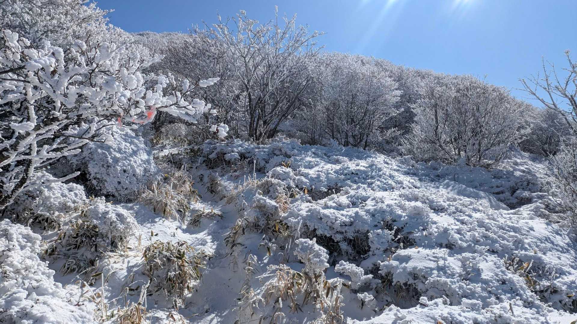 扇ヶ鼻 往復コースの写真