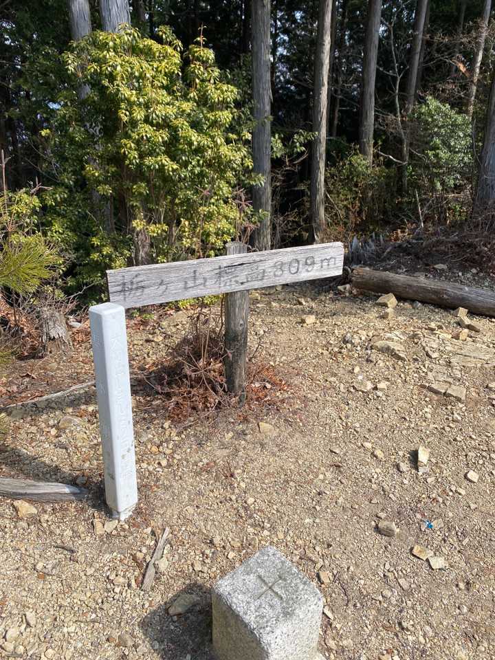 栃ヶ山⛰到着✨
本では景観ありとなってましたが、樹木が育って全く景観無しです😅