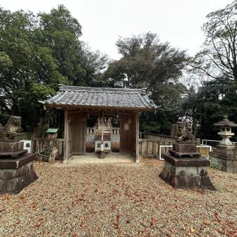 なんと、車で山頂に行き、駐車スペースに停めている間に一回山頂を通り越していたみたいで、二回山頂を踏んだ事になっていました