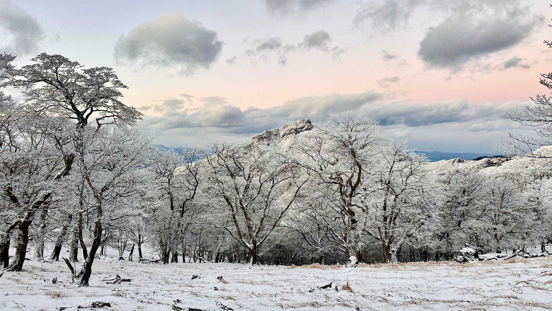 四季見橋登山口-親父山-障子岳 往復コースの写真