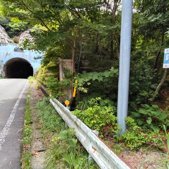 日が差してきた☀涼しかった山頂とは大違い