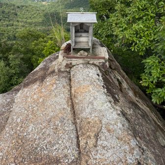 大きな岩があって、鎖があったので登って見ると、石鎚山と縁のありそうな祠がありました🙏🏻