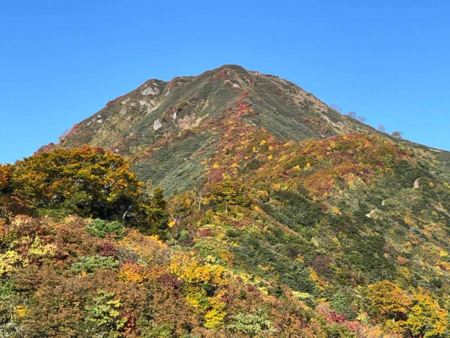 先に登る…小朝日岳👍