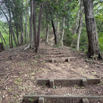 山頂手前は階段