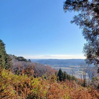 大平山 山頂手前
の東屋🏡で小休止🥤🥪

本日のコースは
ここしか眺望
ナッシング😅