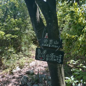 兎走山