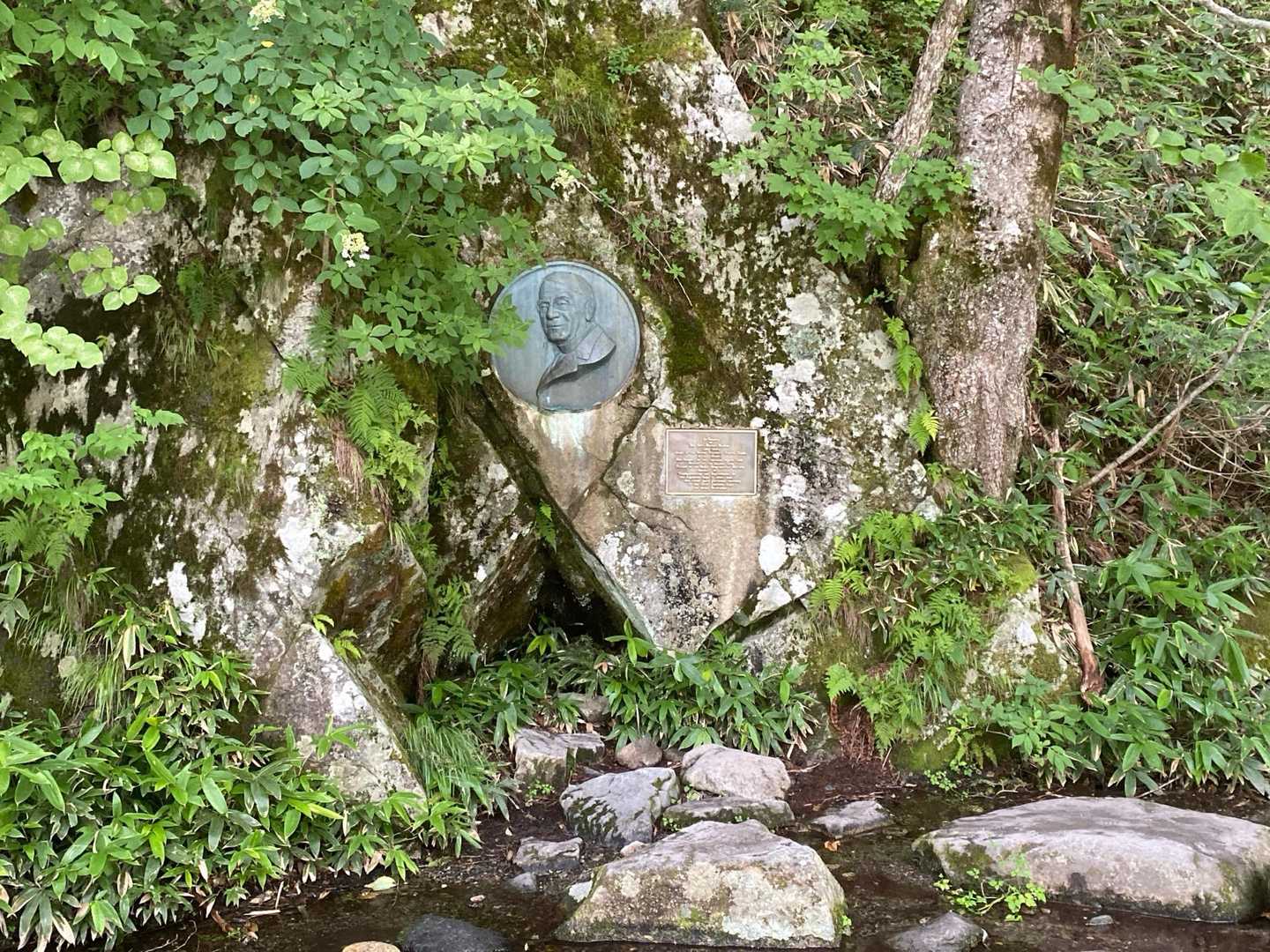 河童橋-新中尾峠-中尾峠-焼岳 往復コースの写真