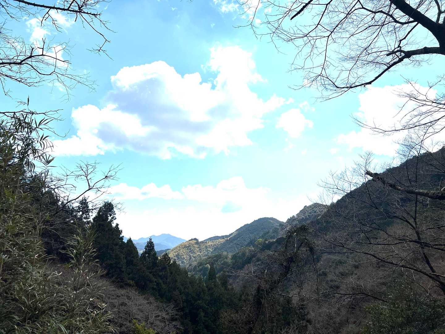 いい景色なんだよおー