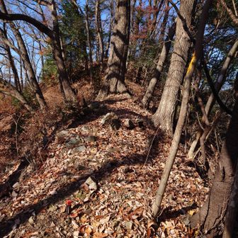 恩方山山頂へのアプローチ