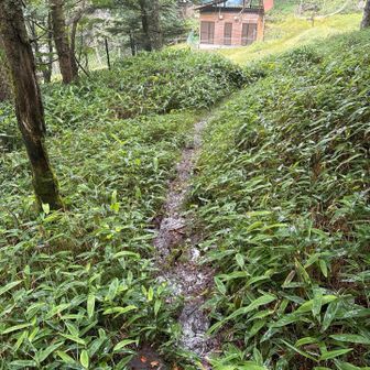 休み無しで２時間、やっと将監小屋