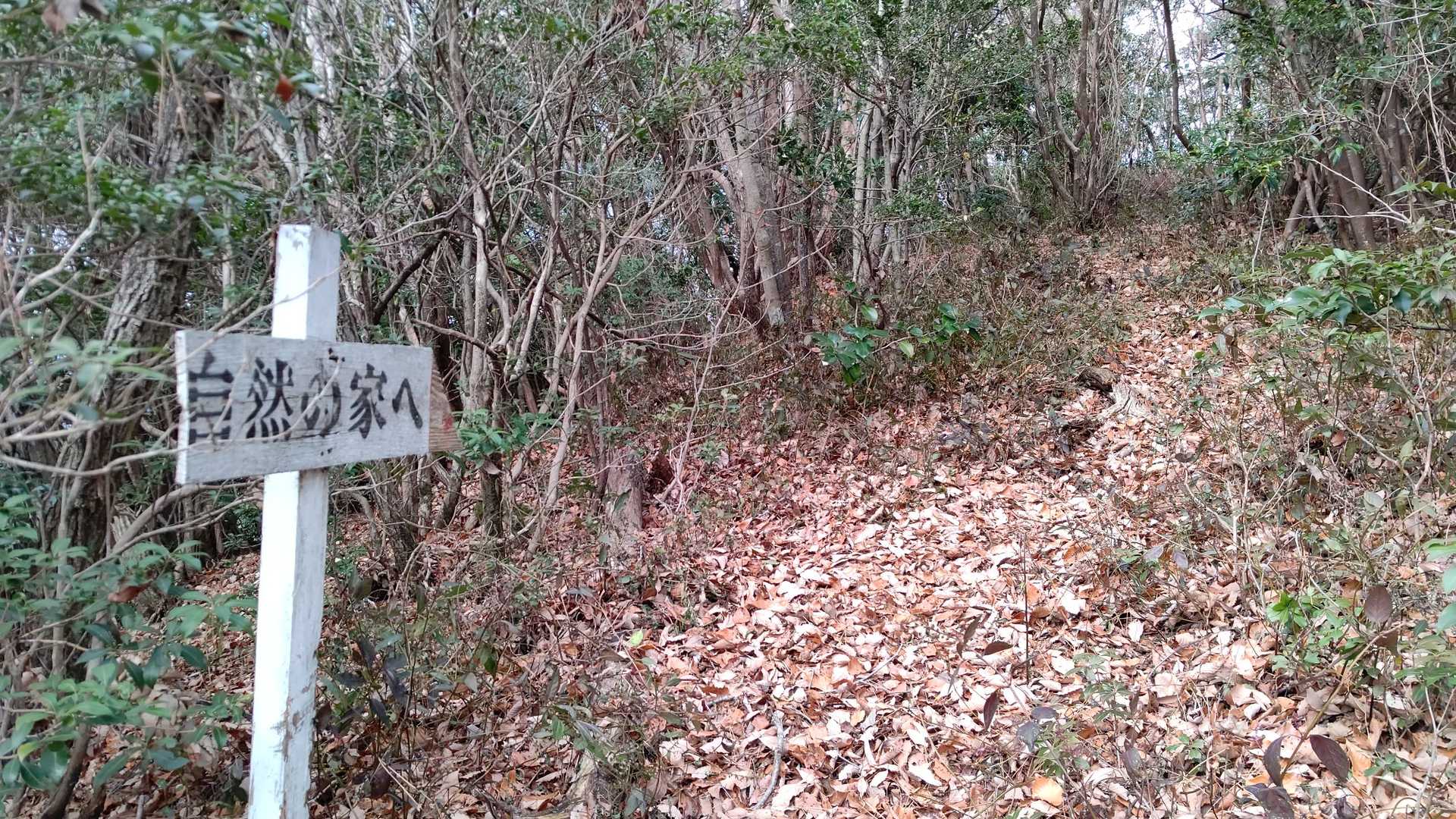 周回出来そうなんで…↑