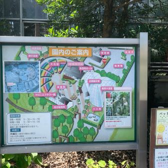 花センターに到着。
飲み物を購入。ハンカチ、手拭いを濡らして、先へ急ぎます。