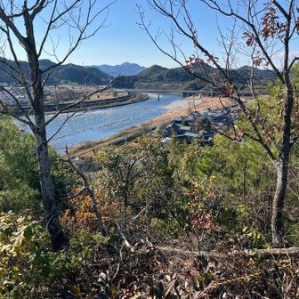 川の下流側の眺望。
