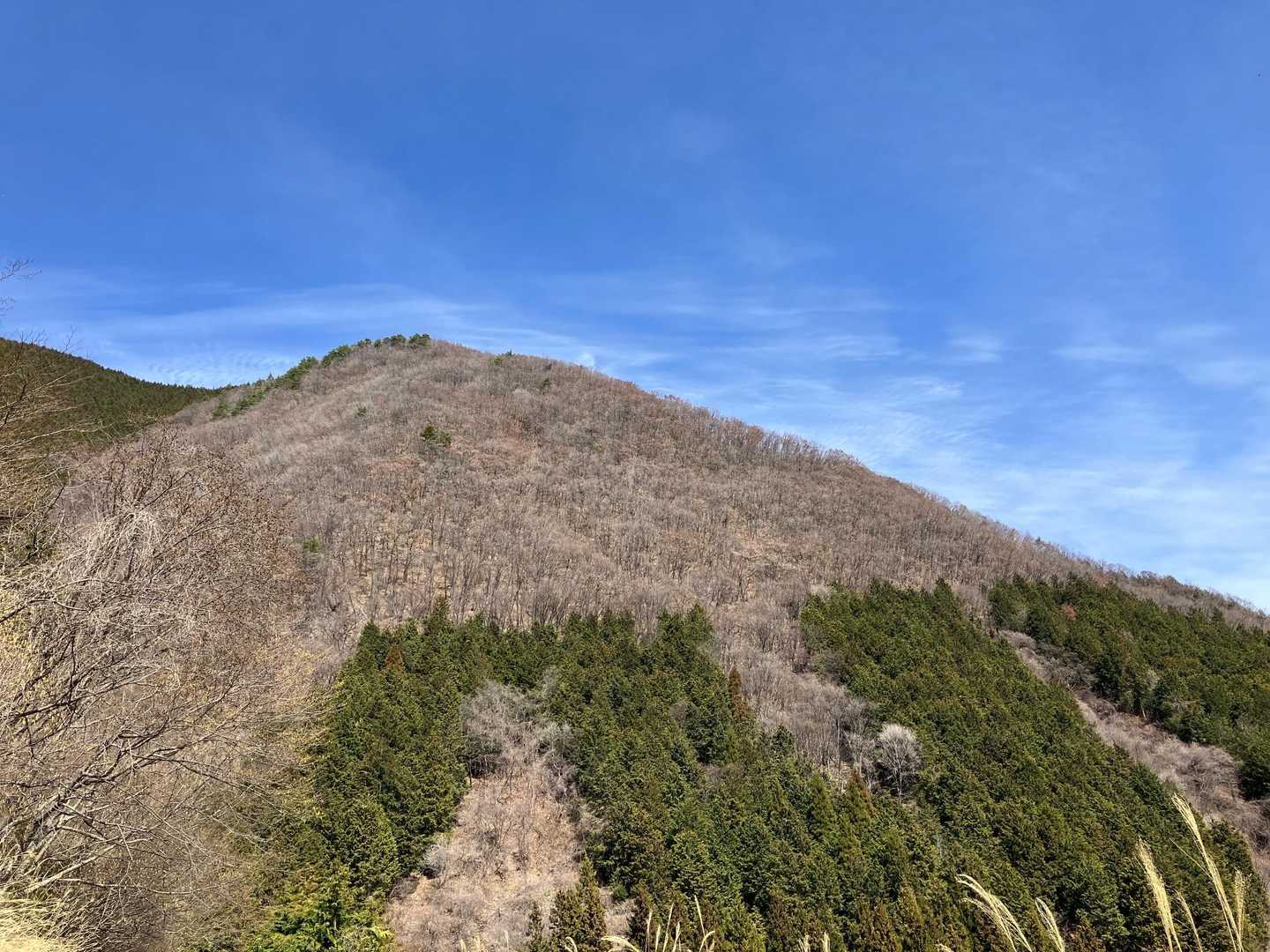 新緑の頃は綺麗そう😍