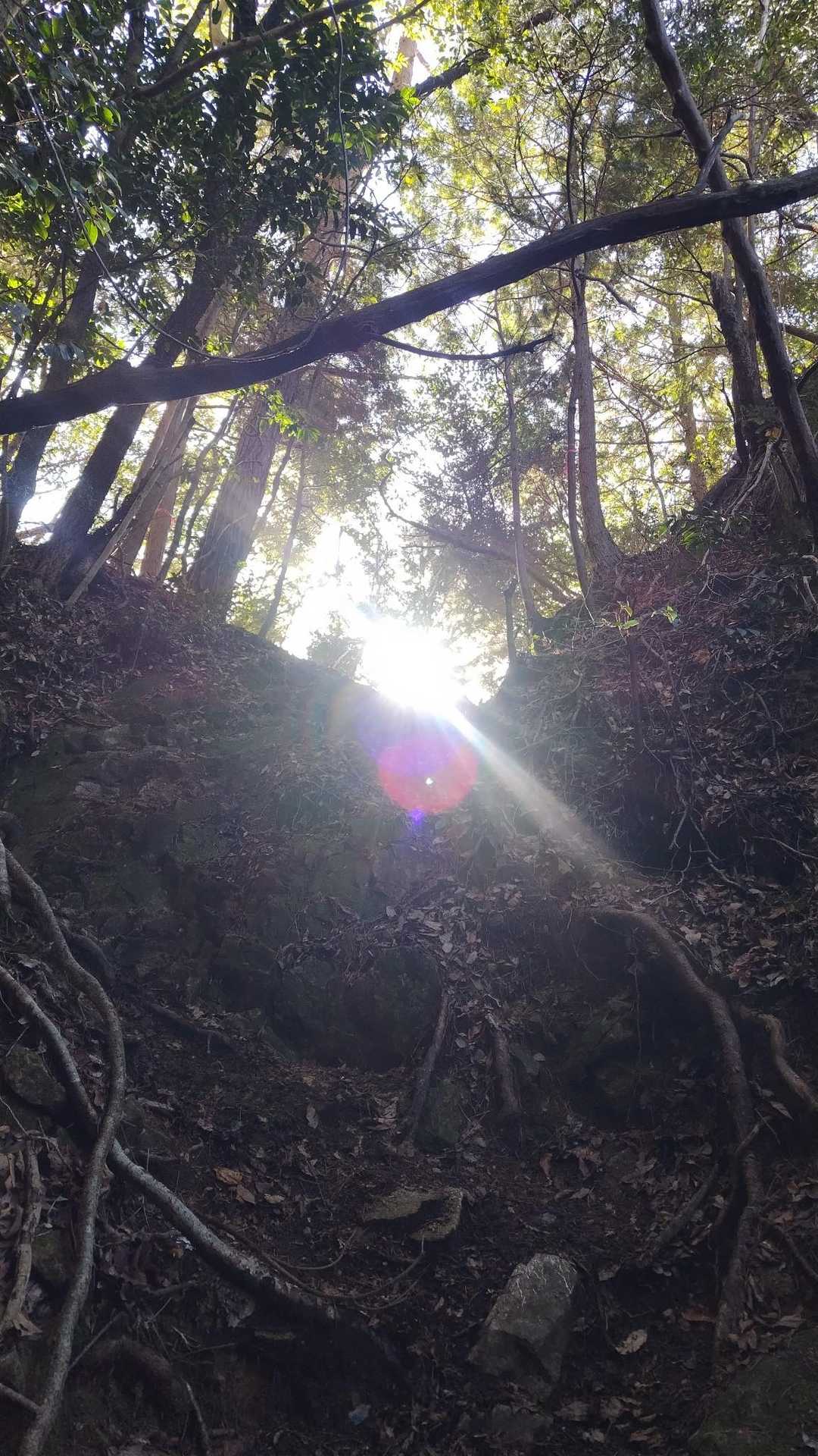 朝日が良い！