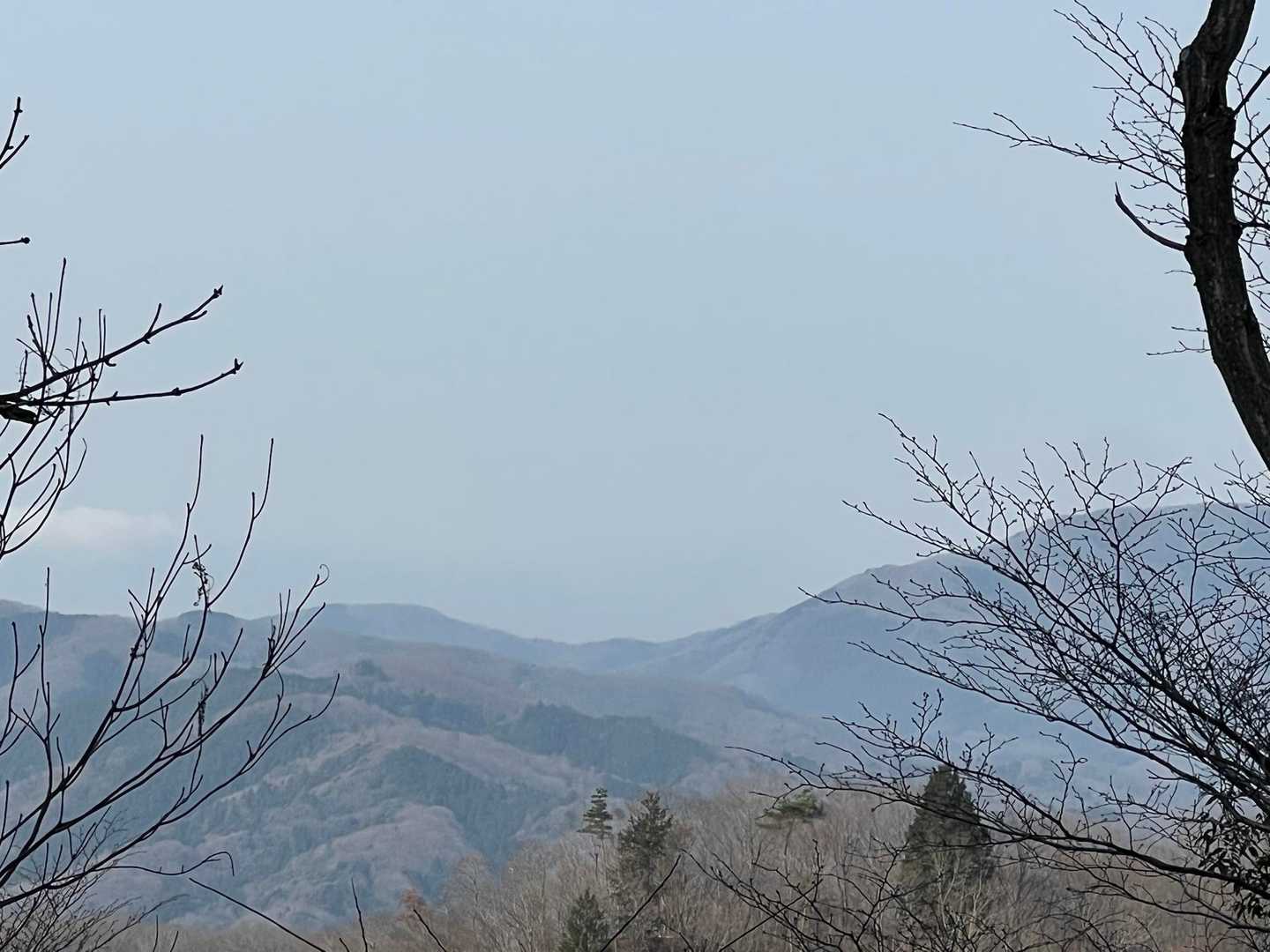 富士山は見えませんでした。