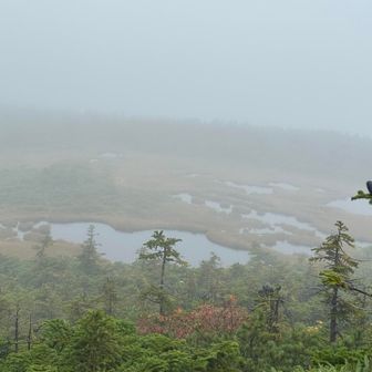 きっと、この先には、山々が広がっているはず！