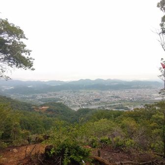 京都トレイルはじめてなので、眺めは楽しかった
