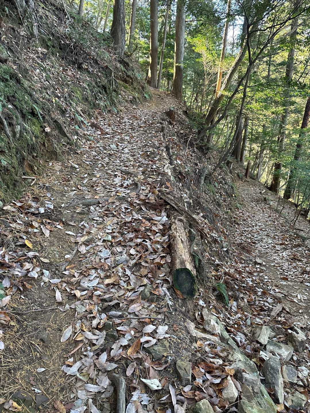 普通に山道じゃん😆