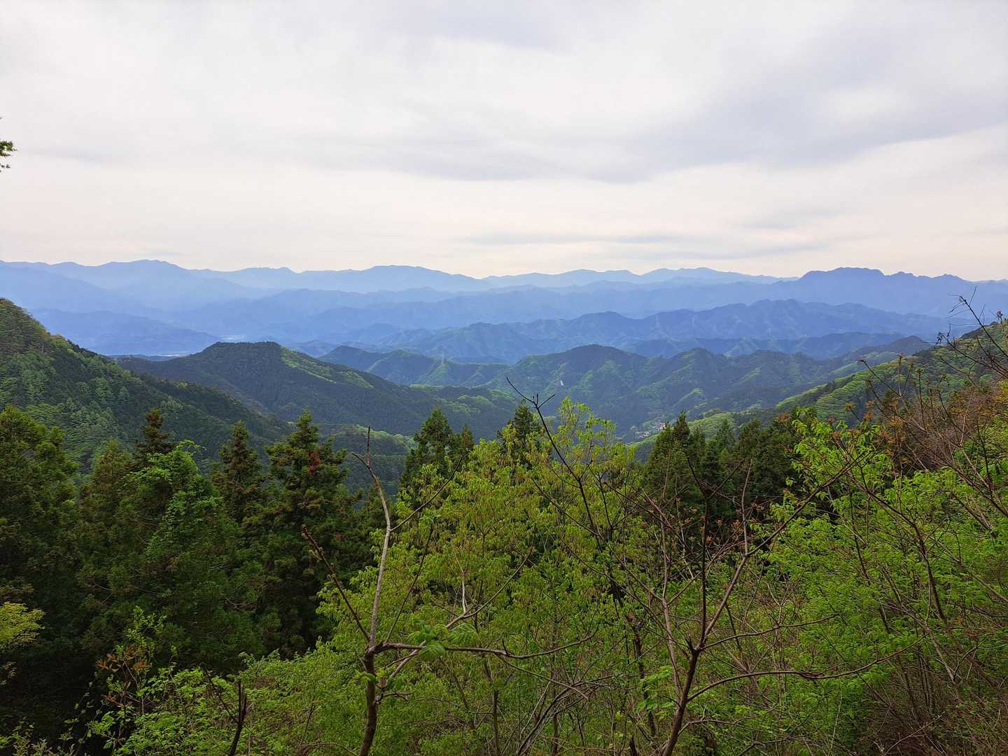 いきなり絶景🤩