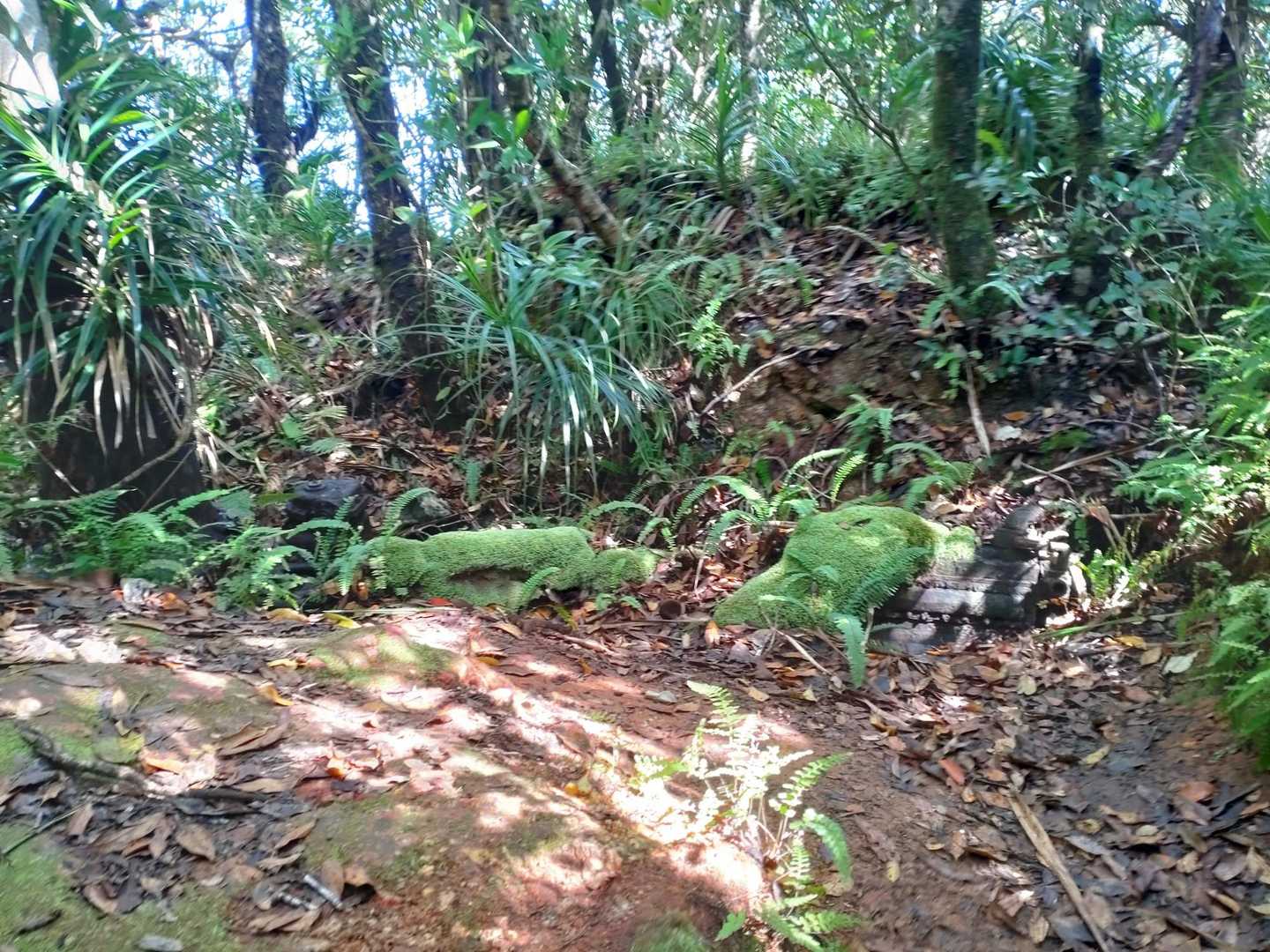 山頂のレーダー装置